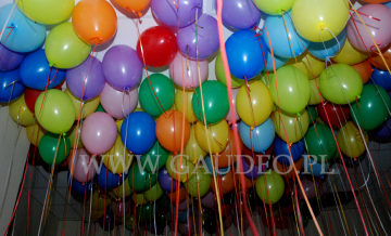 Balony z helem czekają na przygarnięcie.