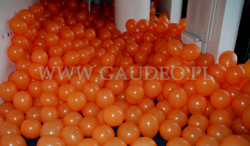 Balony na patyczkach czekają na rozdanie.