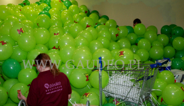 W trakcie dmuchania balonów z nadrukiem i zakładania na patyczki.